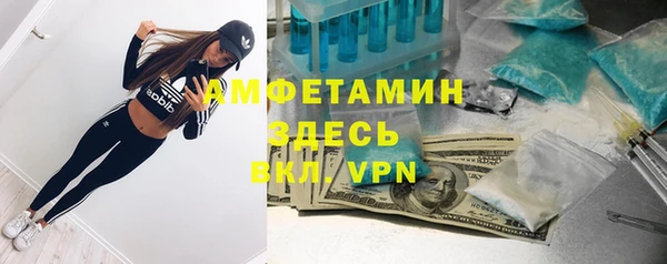 a pvp Алзамай