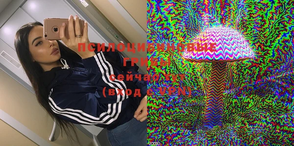 гашик Кодинск