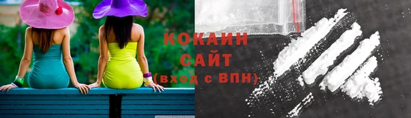 apvp Козельск