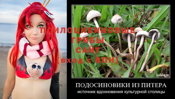 гашик Кодинск