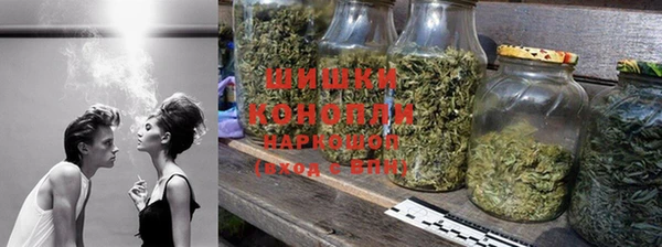 МДПВ Козловка