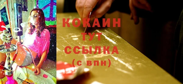 МДПВ Козловка