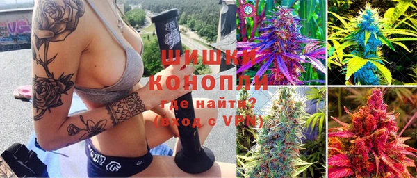 гашик Кодинск