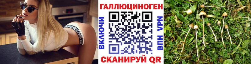 где купить   Магнитогорск  Галлюциногенные грибы мицелий 